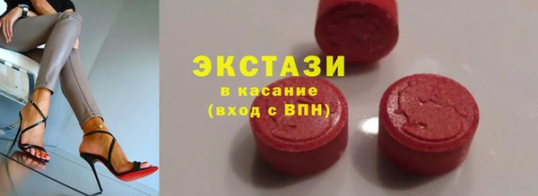 крисы Ельня